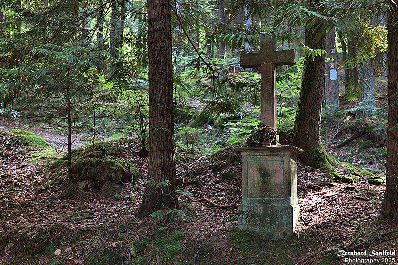 Bernhard Saalfeld - Spessart (6v9)